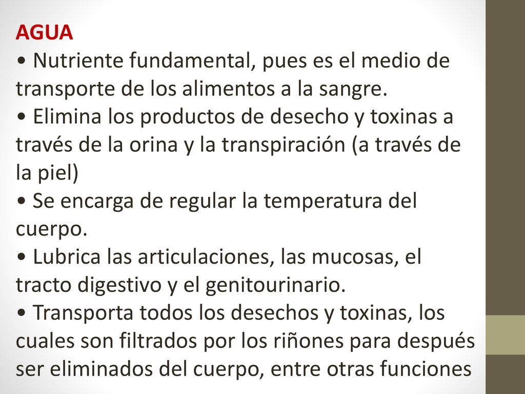 AGUA • Nutriente fundamental, pues es el medio de transporte de los alimentos a la sangre.