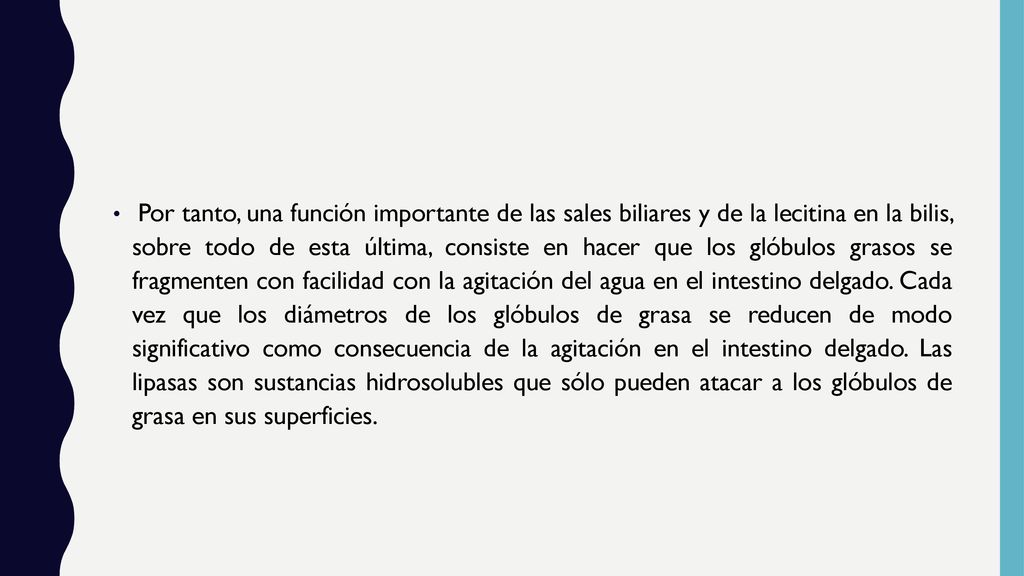 Por tanto, una función importante de las sales biliares y de la lecitina en la bilis, sobre todo de esta última, consiste en hacer que los glóbulos grasos se fragmenten con facilidad con la agitación del agua en el intestino delgado.