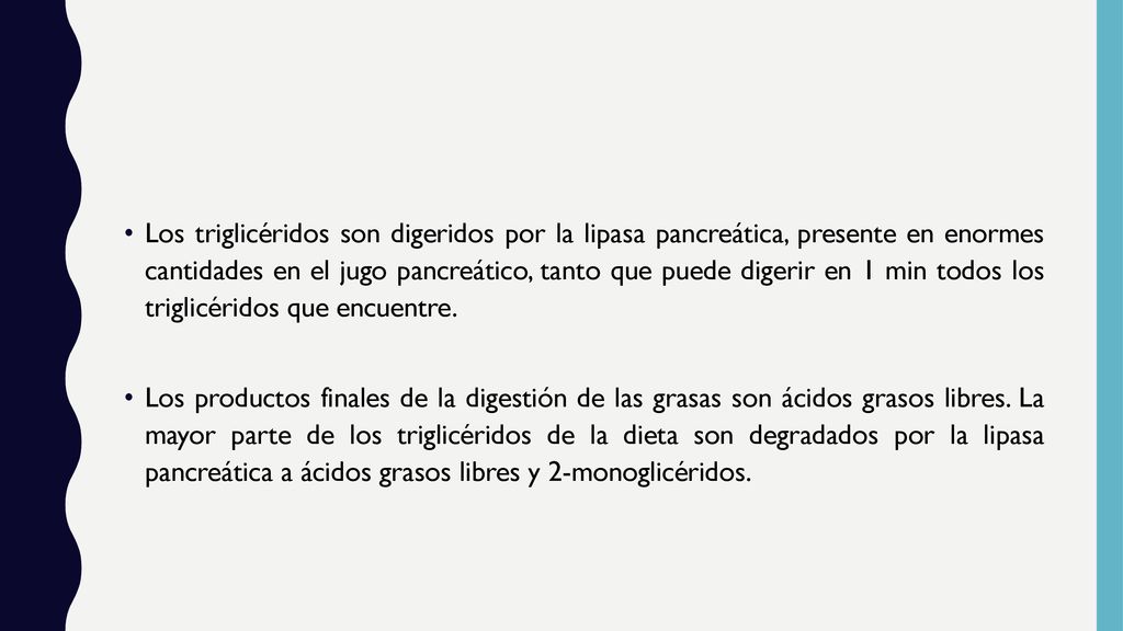 Los triglicéridos son digeridos por la lipasa pancreática, presente en enormes cantidades en el jugo pancreático, tanto que puede digerir en 1 min todos los triglicéridos que encuentre.