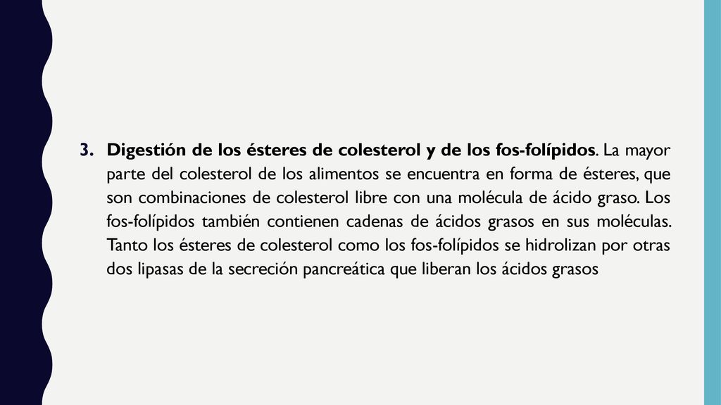 Digestión de los ésteres de colesterol y de los fos-folípidos