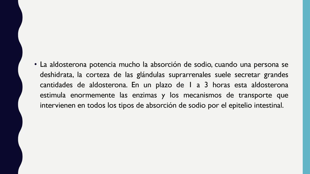La aldosterona potencia mucho la absorción de sodio, cuando una persona se deshidrata, la corteza de las glándulas suprarrenales suele secretar grandes cantidades de aldosterona.