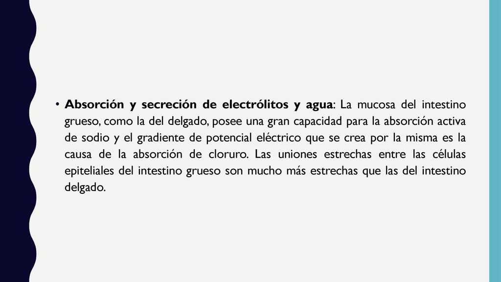 Absorción y secreción de electrólitos y agua: La mucosa del intestino grueso, como la del delgado, posee una gran capacidad para la absorción activa de sodio y el gradiente de potencial eléctrico que se crea por la misma es la causa de la absorción de cloruro.