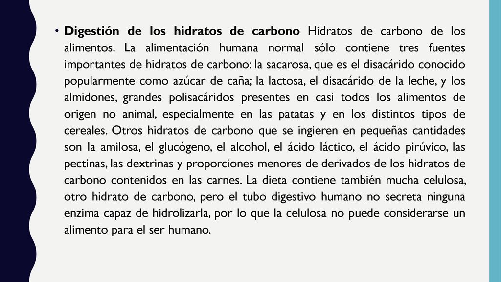 Digestión de los hidratos de carbono Hidratos de carbono de los alimentos.