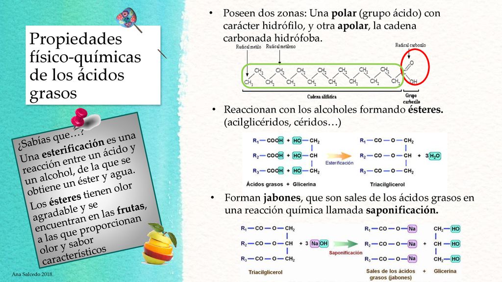 Propiedades físico-químicas de los ácidos grasos