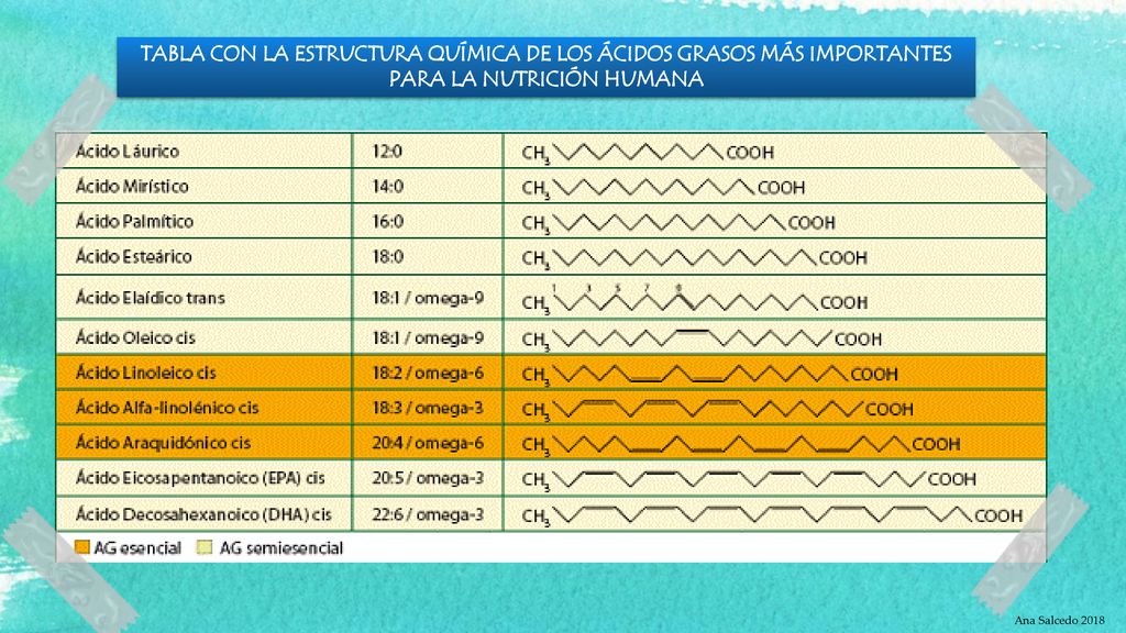 TABLA CON LA ESTRUCTURA QUÍMICA DE LOS ÁCIDOS GRASOS MÁS IMPORTANTES PARA LA NUTRICIÓN HUMANA
