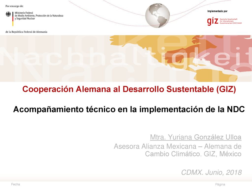 Cooperación Alemana al Desarrollo Sustentable (GIZ) Acompañamiento técnico en la implementación de la NDC