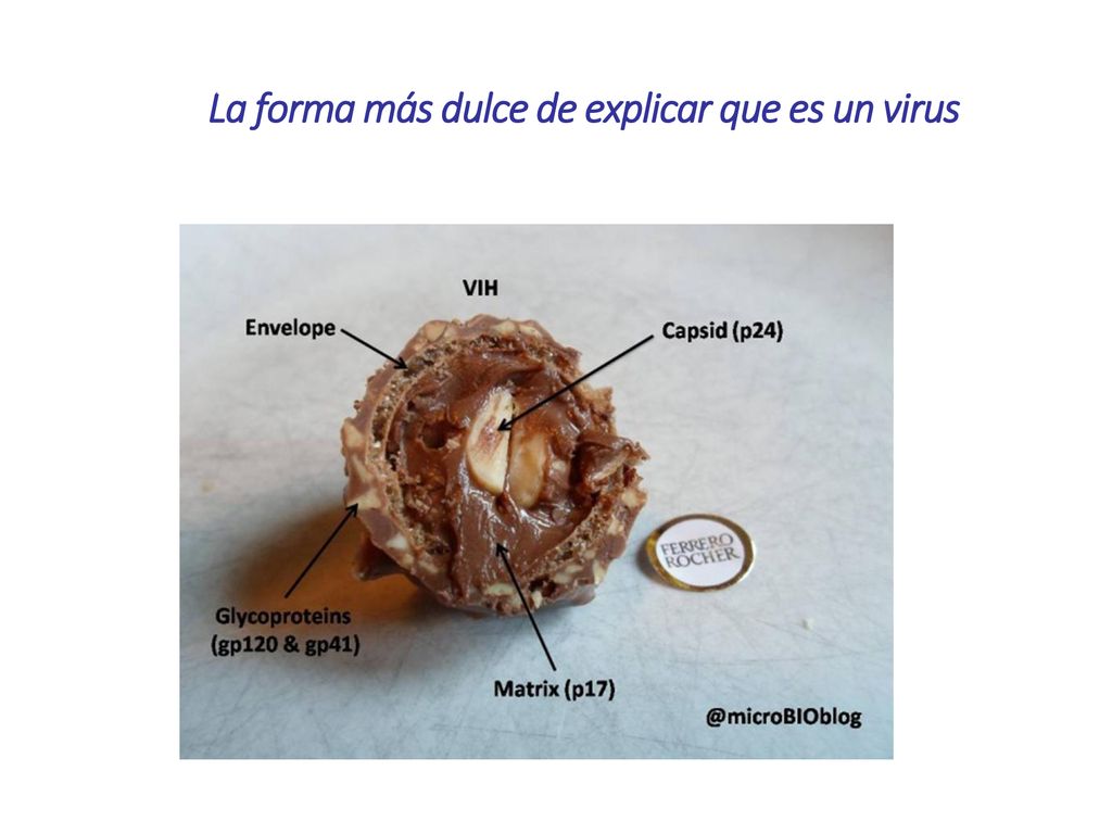 La forma más dulce de explicar que es un virus