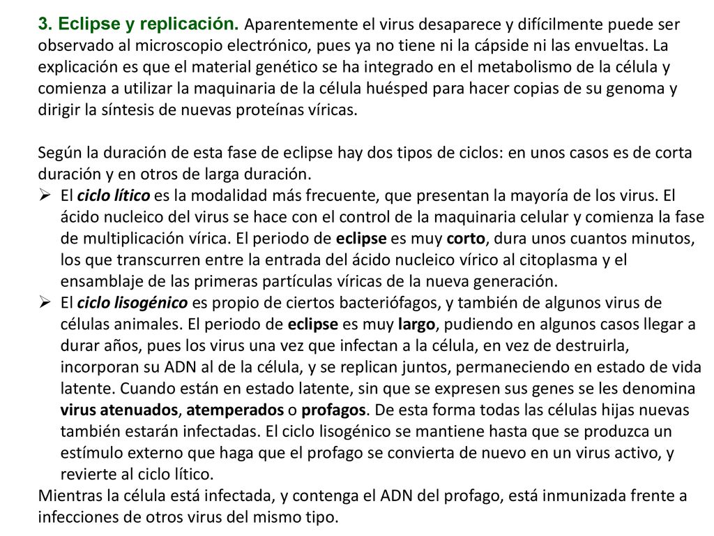 3. Eclipse y replicación. Aparentemente el virus desaparece y difícilmente puede ser