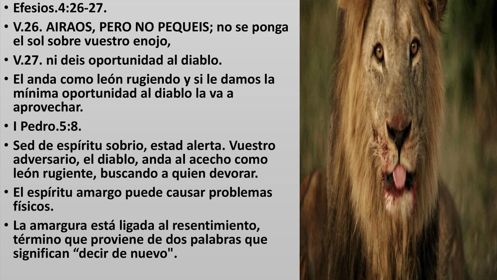 Efesios.4: V.26. AIRAOS, PERO NO PEQUEIS; no se ponga el sol sobre vuestro enojo, V.27. ni deis oportunidad al diablo.