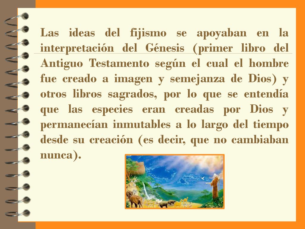 Las ideas del fijismo se apoyaban en la interpretación del Génesis (primer libro del Antiguo Testamento según el cual el hombre fue creado a imagen y semejanza de Dios) y otros libros sagrados, por lo que se entendía que las especies eran creadas por Dios y permanecían inmutables a lo largo del tiempo desde su creación (es decir, que no cambiaban nunca).