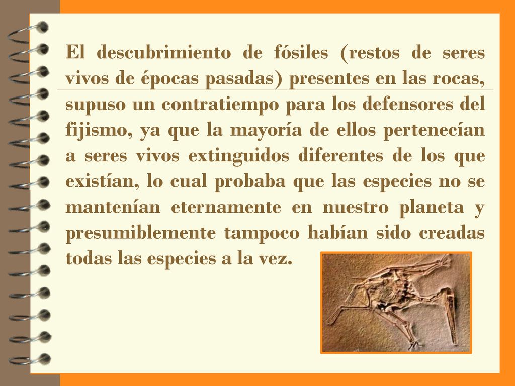 El descubrimiento de fósiles (restos de seres vivos de épocas pasadas) presentes en las rocas, supuso un contratiempo para los defensores del fijismo, ya que la mayoría de ellos pertenecían a seres vivos extinguidos diferentes de los que existían, lo cual probaba que las especies no se mantenían eternamente en nuestro planeta y presumiblemente tampoco habían sido creadas todas las especies a la vez.