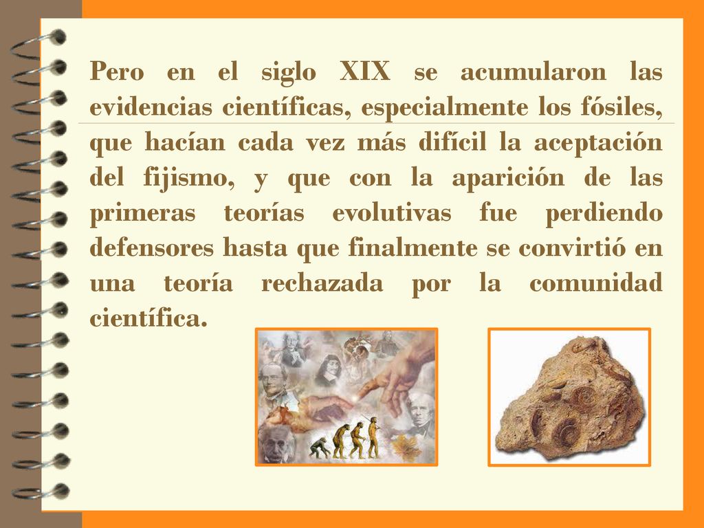 Pero en el siglo XIX se acumularon las evidencias científicas, especialmente los fósiles, que hacían cada vez más difícil la aceptación del fijismo, y que con la aparición de las primeras teorías evolutivas fue perdiendo defensores hasta que finalmente se convirtió en una teoría rechazada por la comunidad científica.