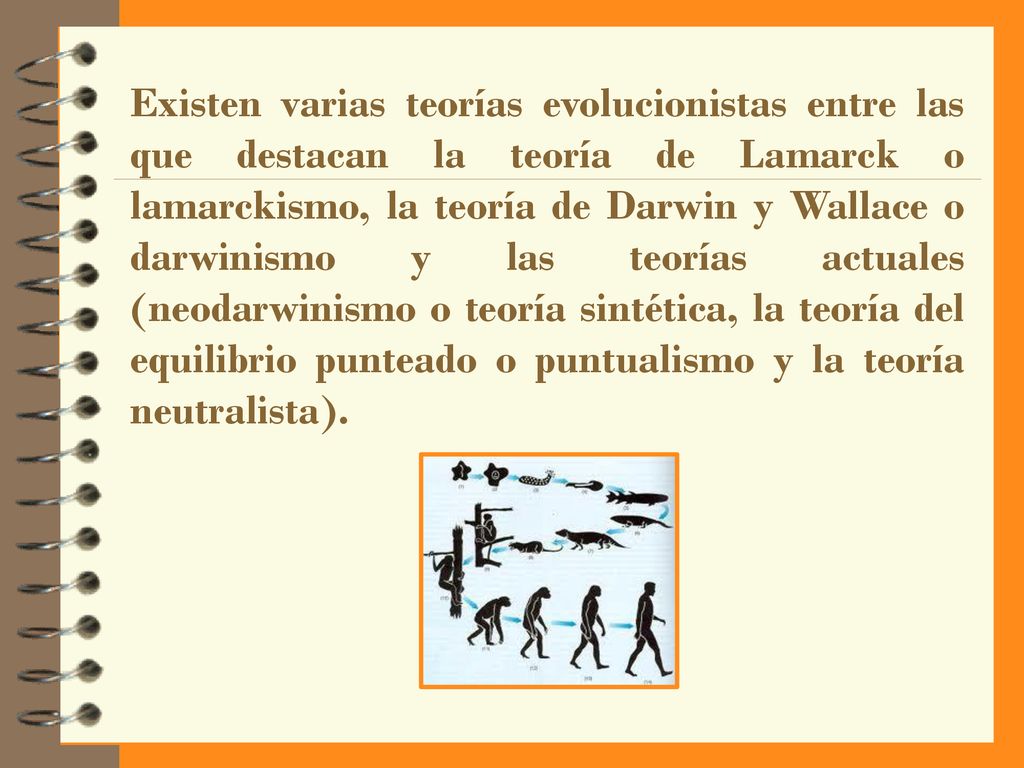 Existen varias teorías evolucionistas entre las que destacan la teoría de Lamarck o lamarckismo, la teoría de Darwin y Wallace o darwinismo y las teorías actuales (neodarwinismo o teoría sintética, la teoría del equilibrio punteado o puntualismo y la teoría neutralista).