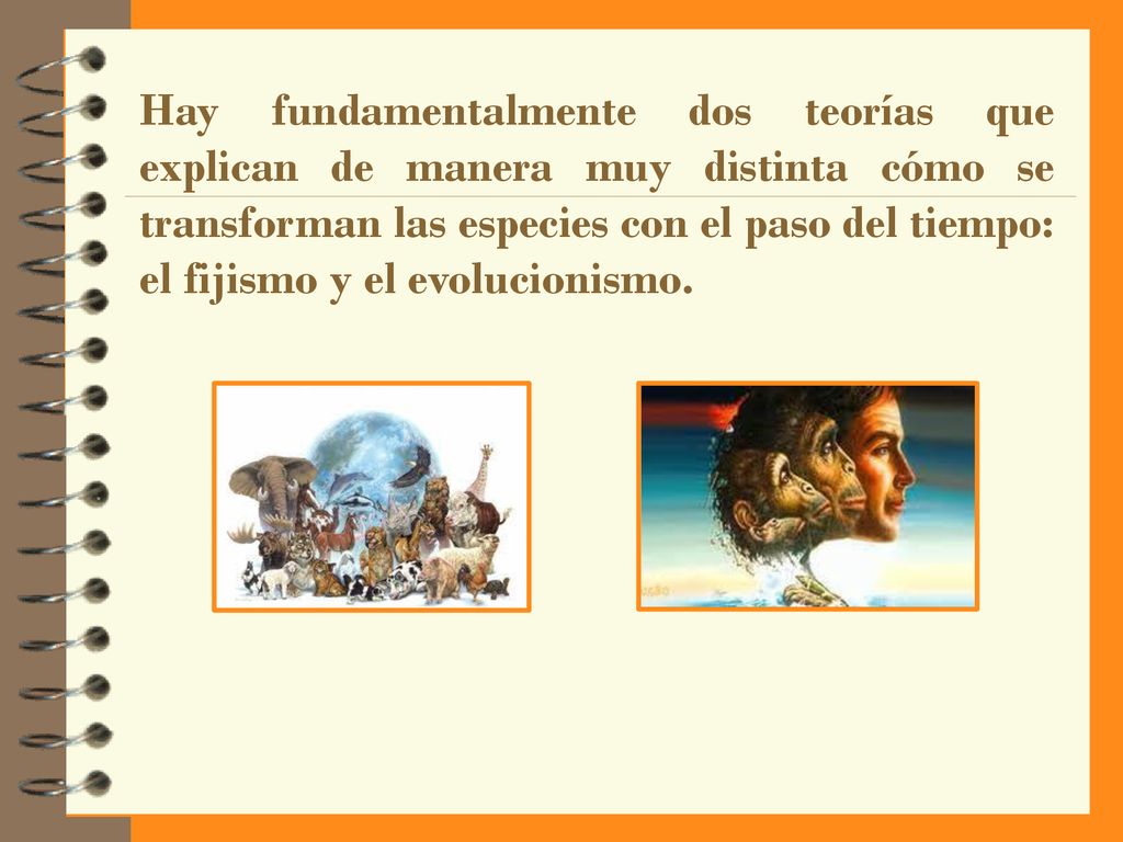 Hay fundamentalmente dos teorías que explican de manera muy distinta cómo se transforman las especies con el paso del tiempo: el fijismo y el evolucionismo.