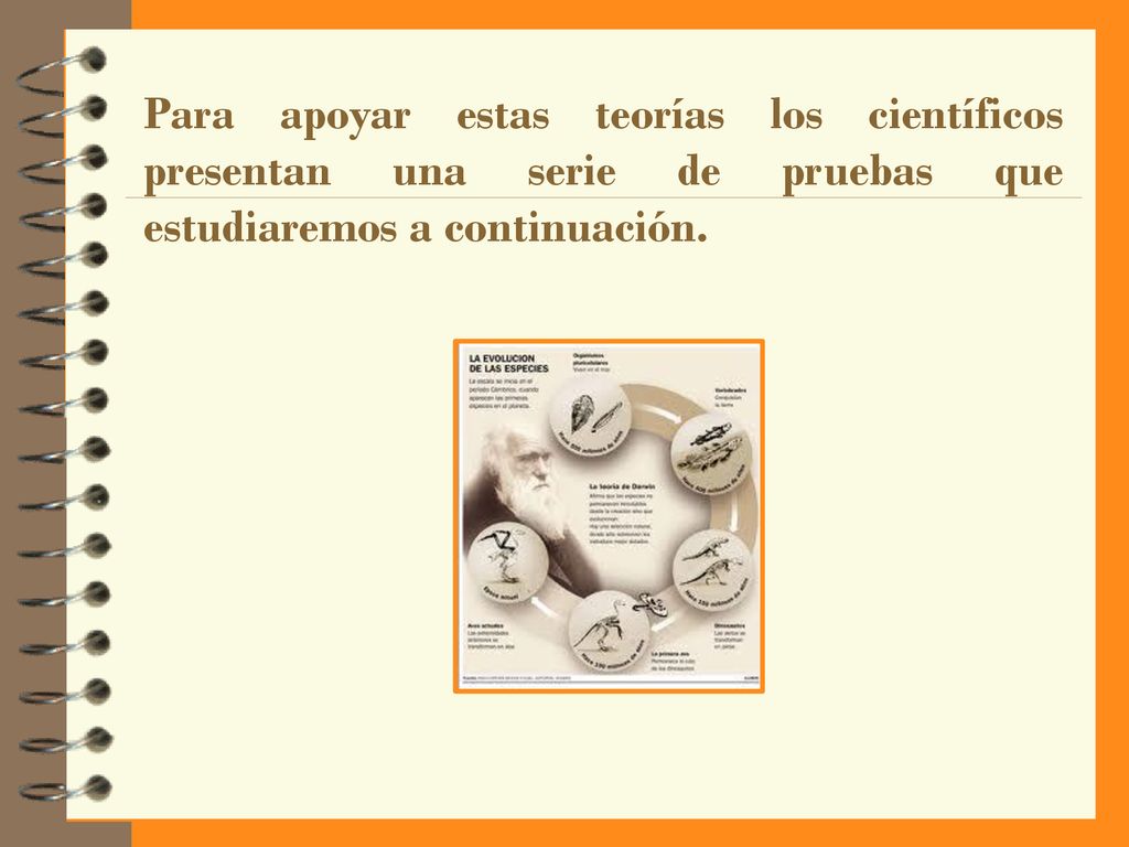 Para apoyar estas teorías los científicos presentan una serie de pruebas que estudiaremos a continuación.