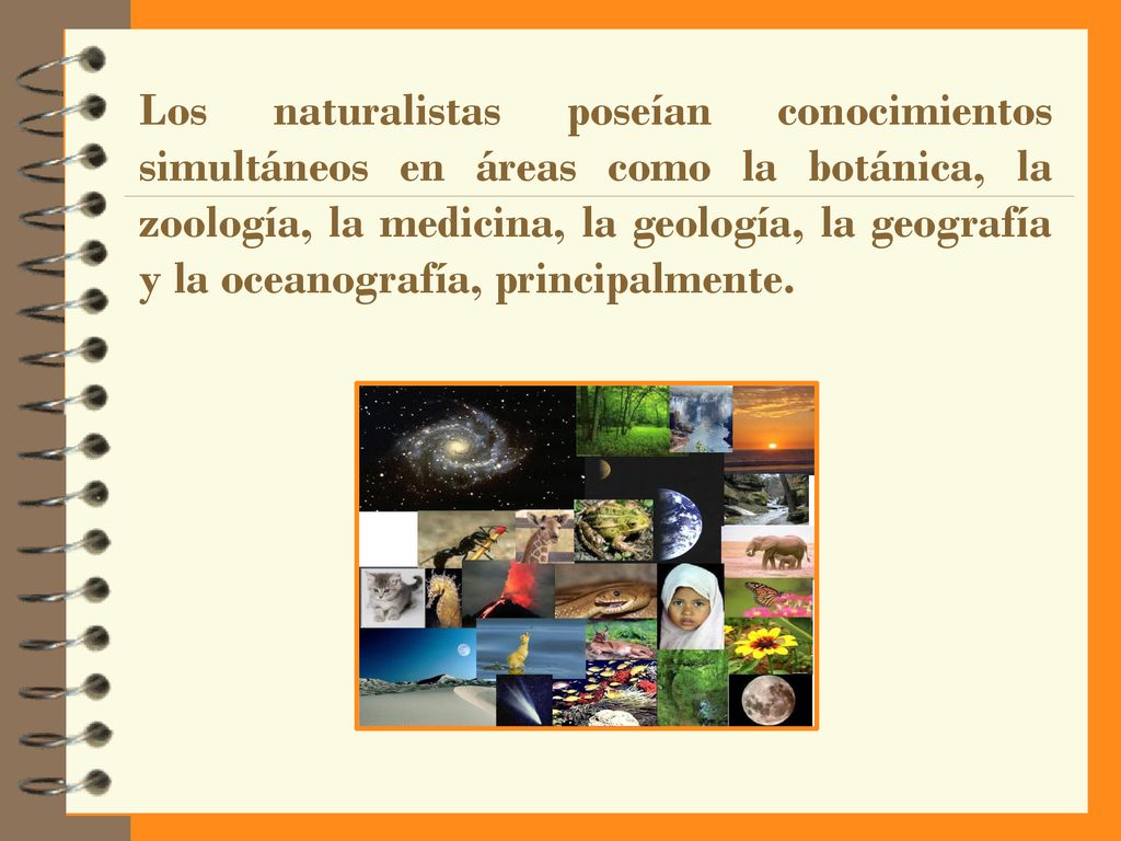 Los naturalistas poseían conocimientos simultáneos en áreas como la botánica, la zoología, la medicina, la geología, la geografía y la oceanografía, principalmente.