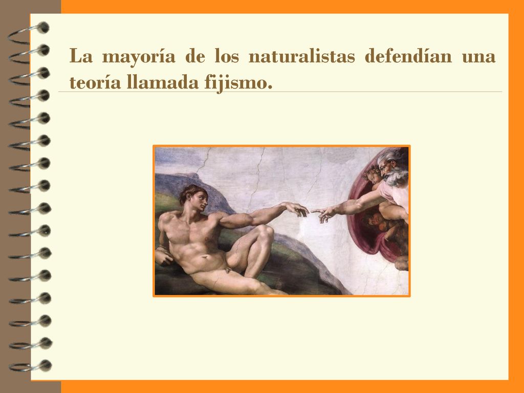 La mayoría de los naturalistas defendían una teoría llamada fijismo.
