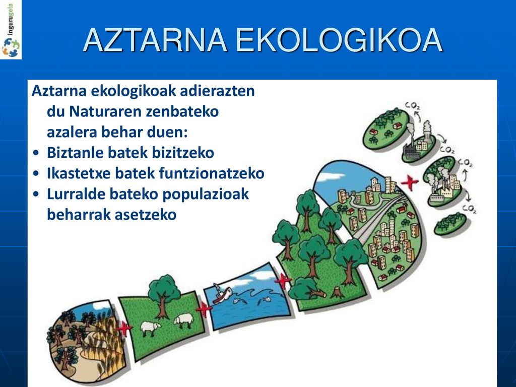 AZTARNA EKOLOGIKOA Aztarna ekologikoak adierazten du Naturaren zenbateko azalera behar duen: Biztanle batek bizitzeko.