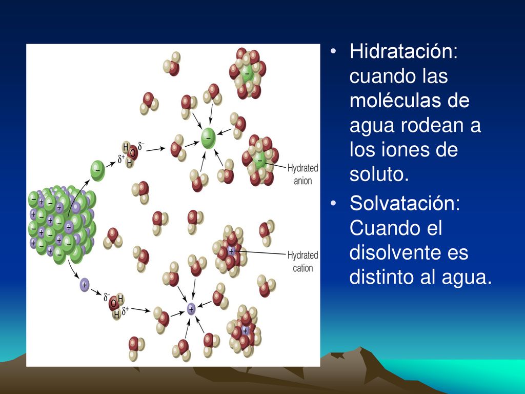 Hidratación: cuando las moléculas de agua rodean a los iones de soluto.