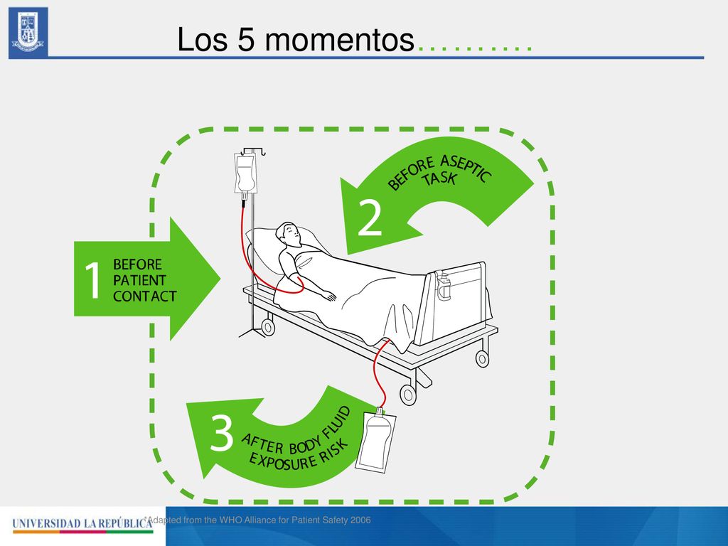 Los 5 momentos………. *Adapted from the WHO Alliance for Patient Safety 2006