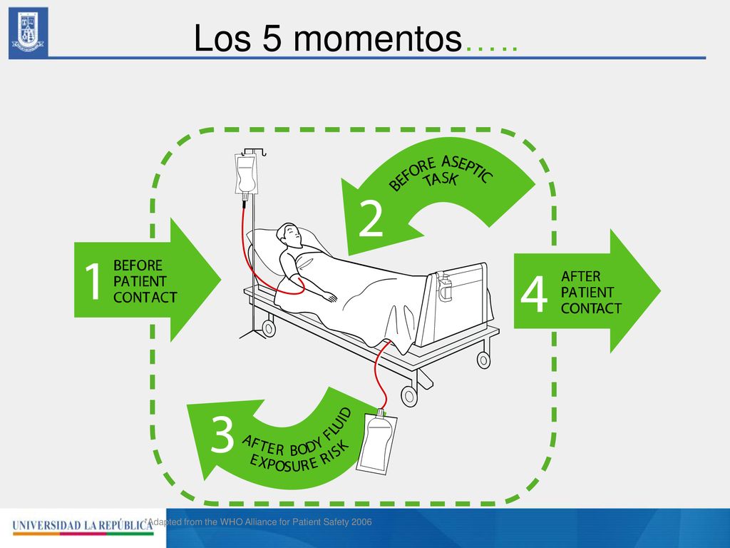 Los 5 momentos….. *Adapted from the WHO Alliance for Patient Safety 2006