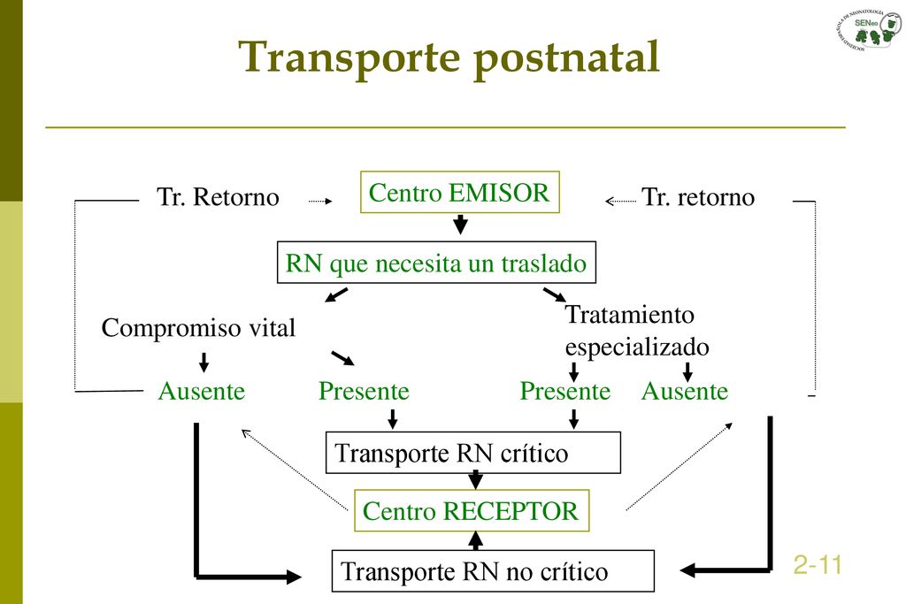 Transporte postnatal Centro EMISOR Tr. Retorno Tr. retorno