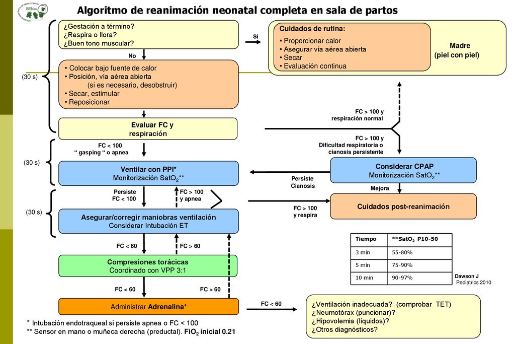 Madre Algoritmo de reanimación neonatal completa en sala de partos