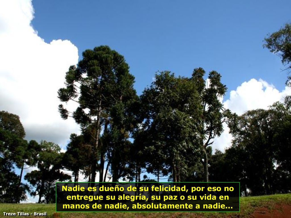Nadie es dueño de su felicidad, por eso no entregue su alegría, su paz o su vida en manos de nadie, absolutamente a nadie...