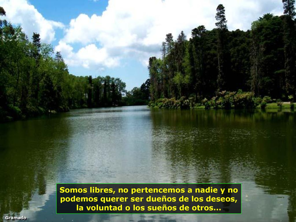 Somos libres, no pertencemos a nadie y no podemos querer ser dueños de los deseos, la voluntad o los sueños de otros...