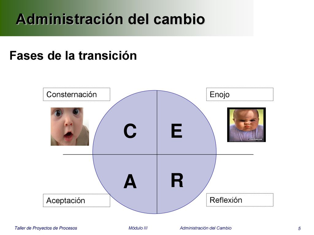 C E A R Administración del cambio Fases de la transición Consternación