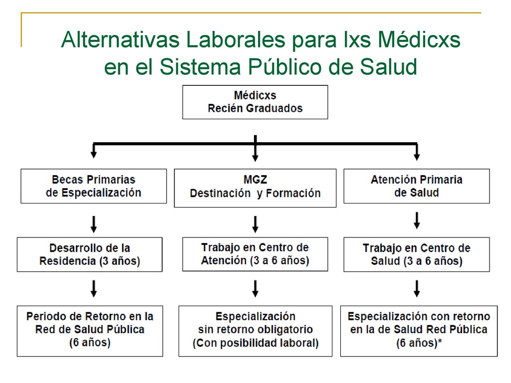 Alternativas Laborales para lxs Médicxs en el Sistema Público de Salud