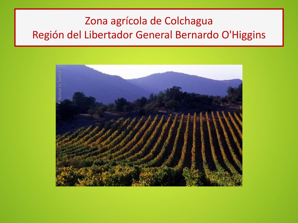 Zona agrícola de Colchagua Región del Libertador General Bernardo O Higgins