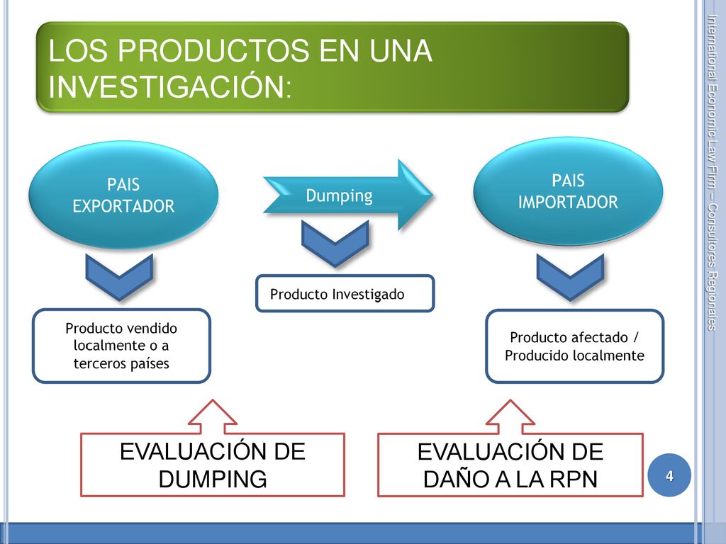 LOS PRODUCTOS EN UNA INVESTIGACIÓN:
