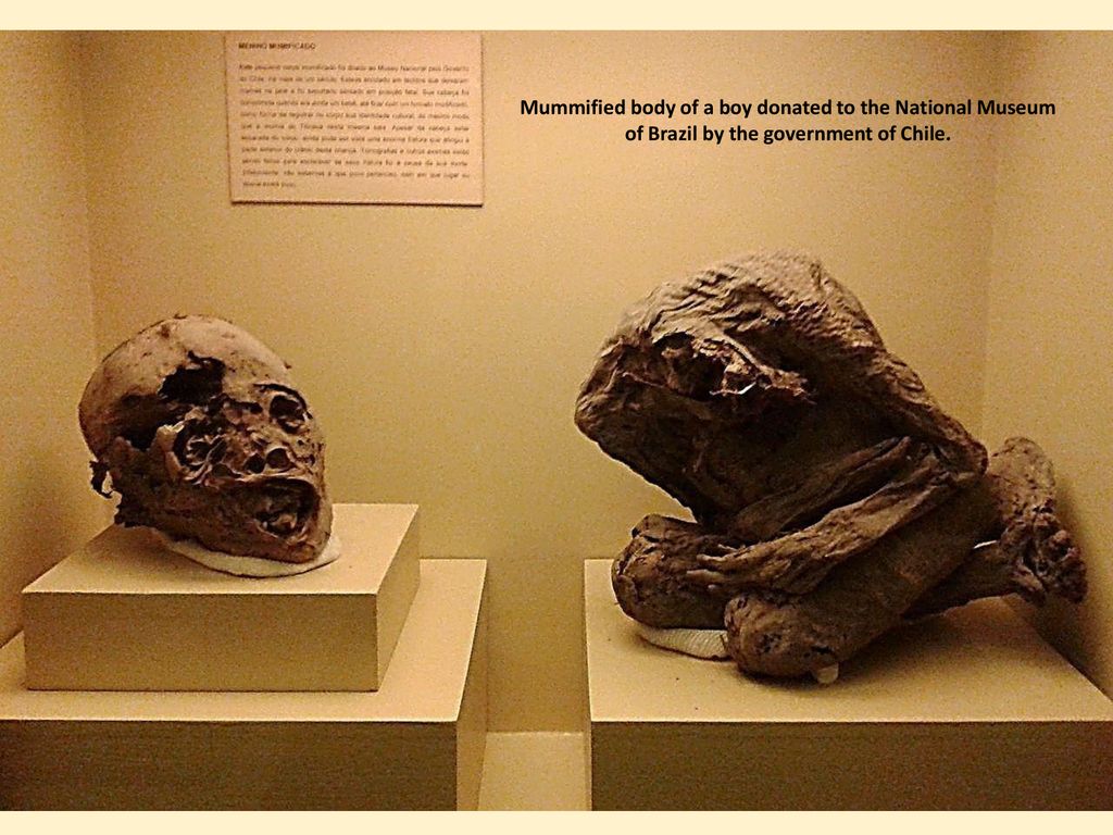 Mummified body of a boy donated to the National Museum of Brazil by the government of Chile.