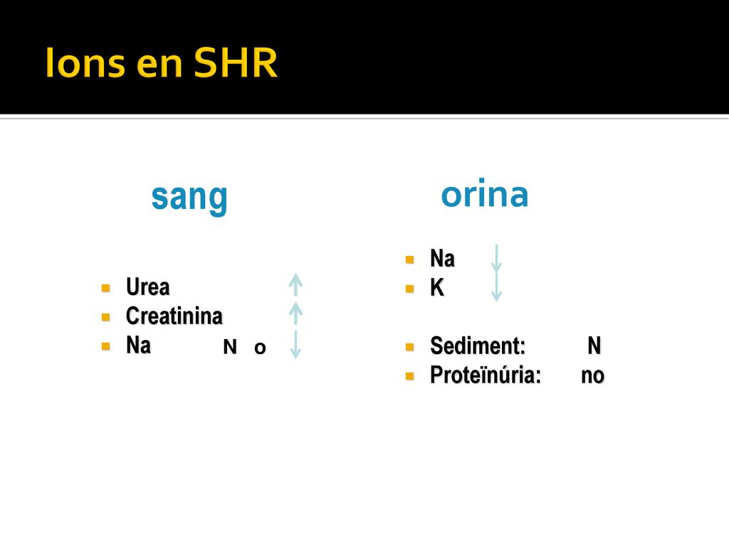Ions en SHR orina sang Na K Urea Sediment: N Creatinina