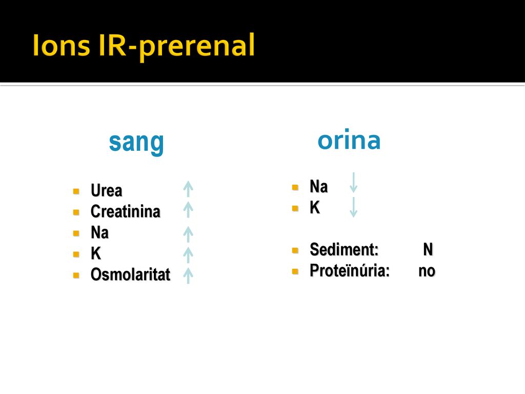 Ions IR-prerenal orina sang Na K Urea Creatinina Sediment: N Na