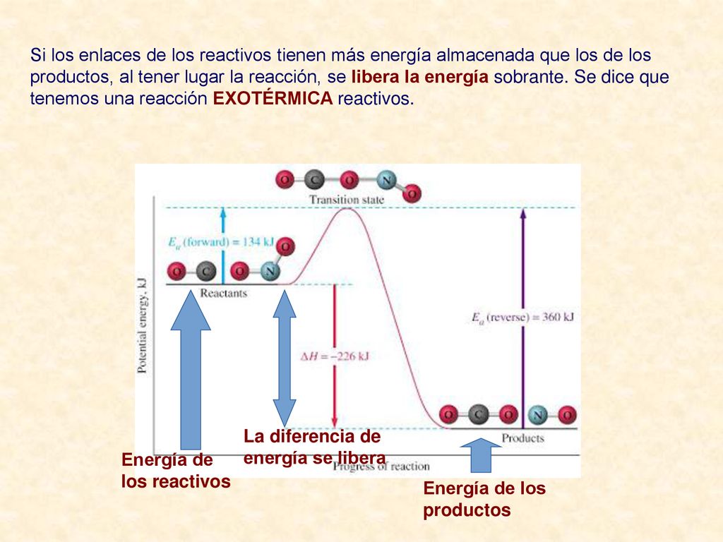 Si los enlaces de los reactivos tienen más energía almacenada que los de los productos, al tener lugar la reacción, se libera la energía sobrante. Se dice que tenemos una reacción EXOTÉRMICA reactivos.