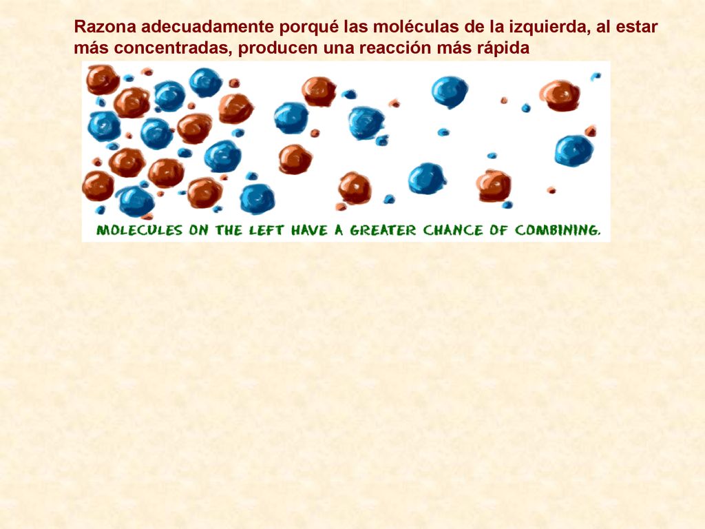 Razona adecuadamente porqué las moléculas de la izquierda, al estar más concentradas, producen una reacción más rápida
