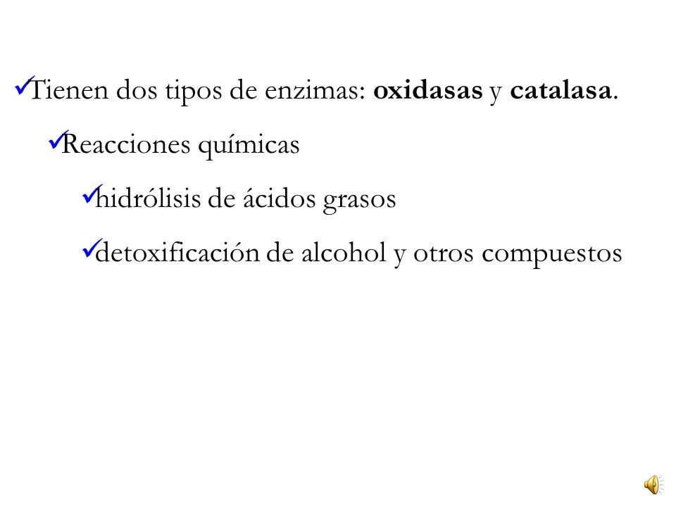 Tienen dos tipos de enzimas: oxidasas y catalasa.