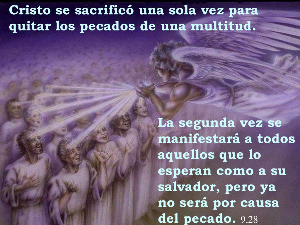 Cristo se sacrificó una sola vez para quitar los pecados de una multitud.