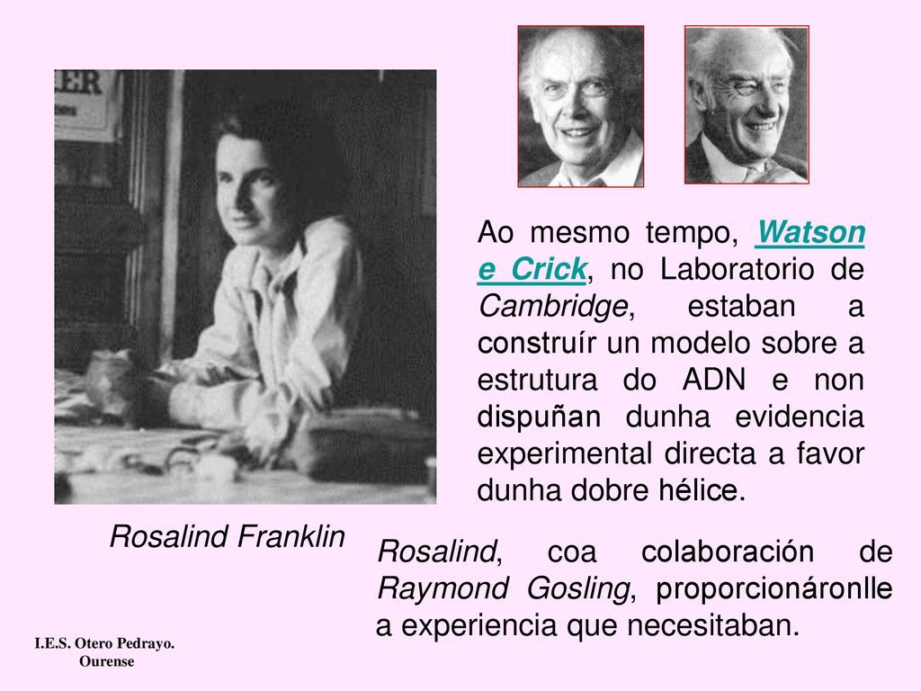 Ao mesmo tempo, Watson e Crick, no Laboratorio de Cambridge, estaban a construír un modelo sobre a estrutura do ADN e non dispuñan dunha evidencia experimental directa a favor dunha dobre hélice.
