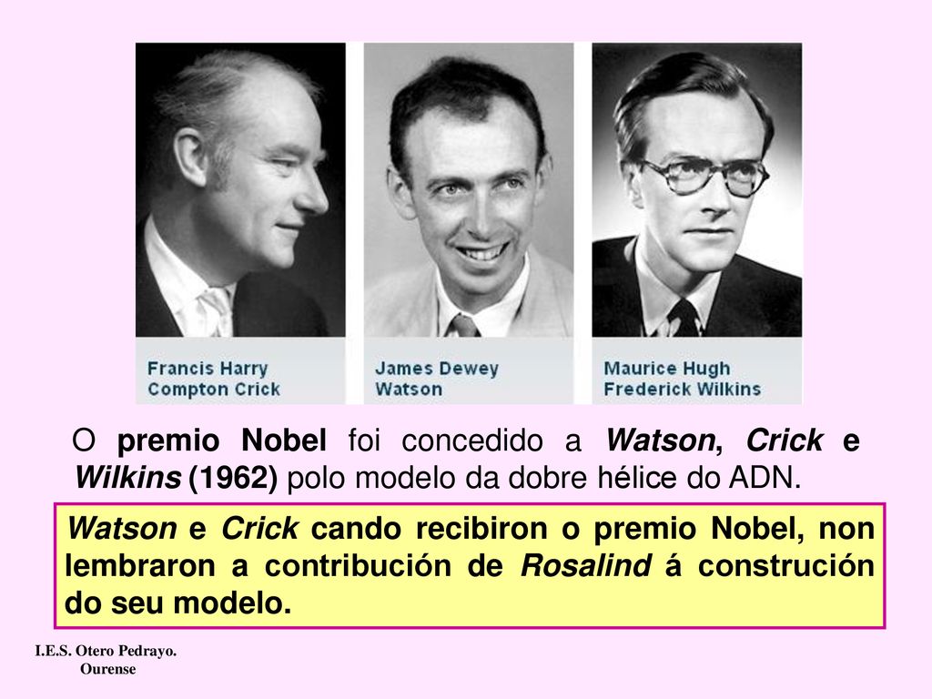 O premio Nobel foi concedido a Watson, Crick e Wilkins (1962) polo modelo da dobre hélice do ADN.