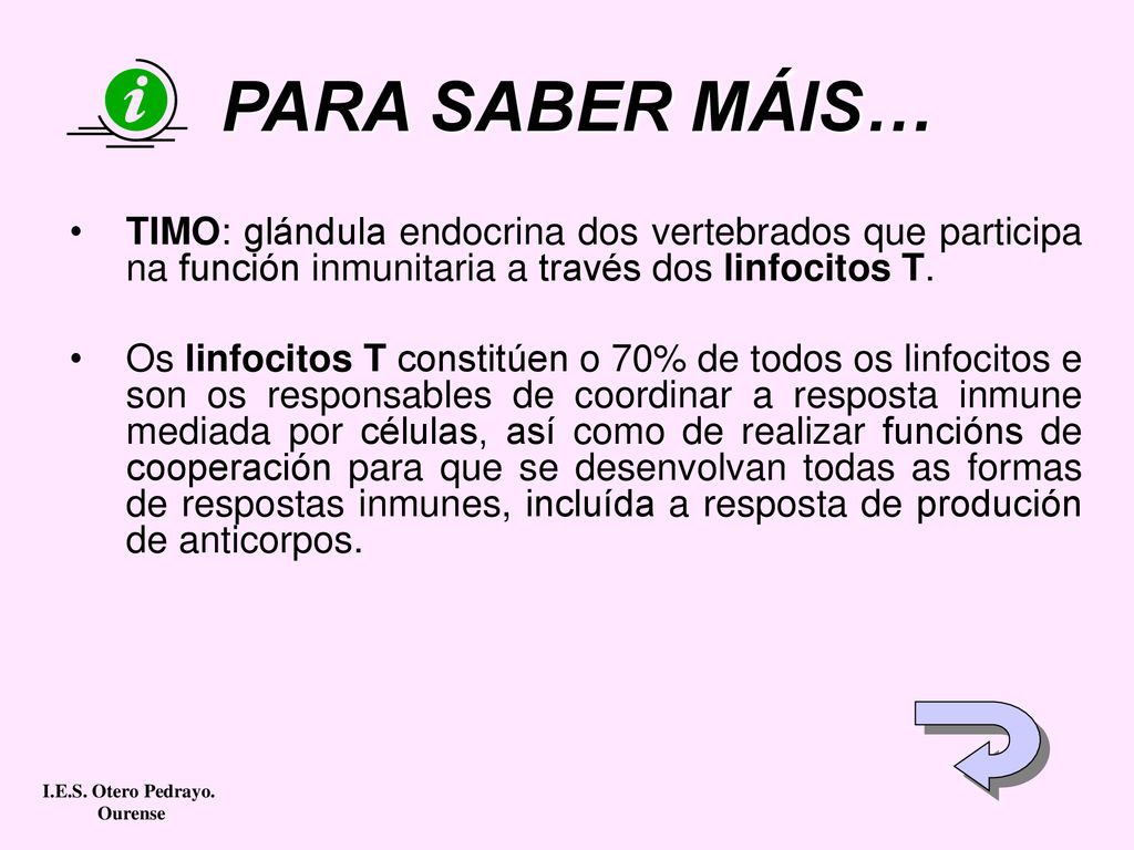 PARA SABER MÁIS… TIMO: glándula endocrina dos vertebrados que participa na función inmunitaria a través dos linfocitos T.