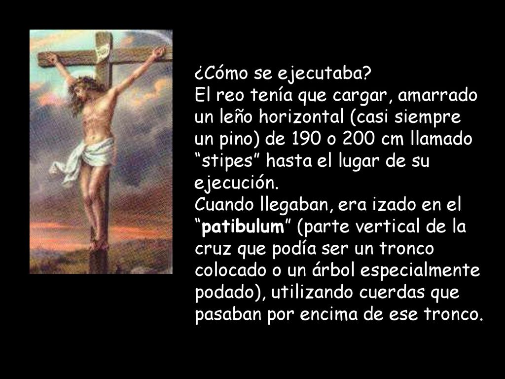 ¿Cómo se ejecutaba El reo tenía que cargar, amarrado. un leño horizontal (casi siempre. un pino) de 190 o 200 cm llamado.