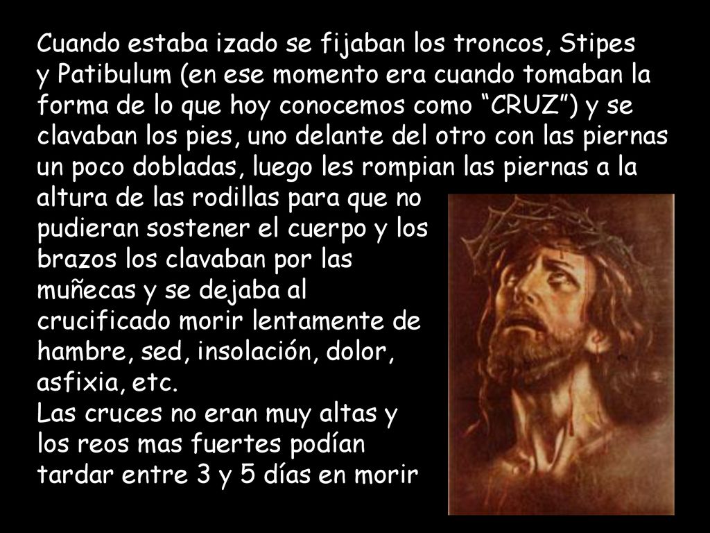 Cuando estaba izado se fijaban los troncos, Stipes
