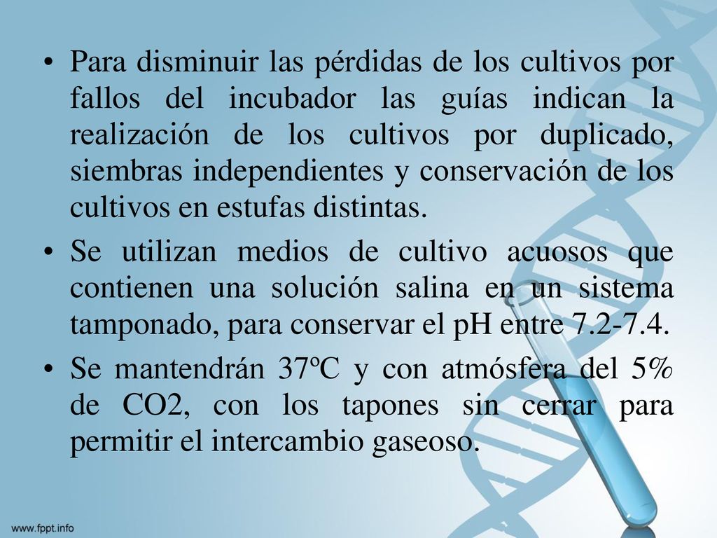 Para disminuir las pérdidas de los cultivos por fallos del incubador las guías indican la realización de los cultivos por duplicado, siembras independientes y conservación de los cultivos en estufas distintas.