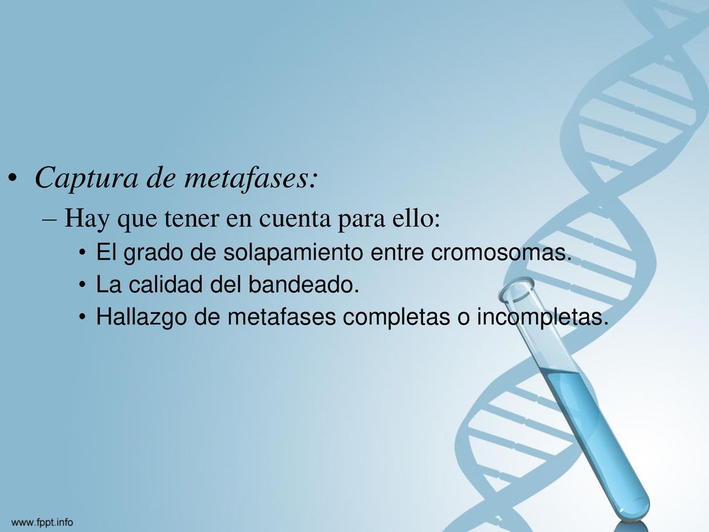 Captura de metafases: Hay que tener en cuenta para ello: