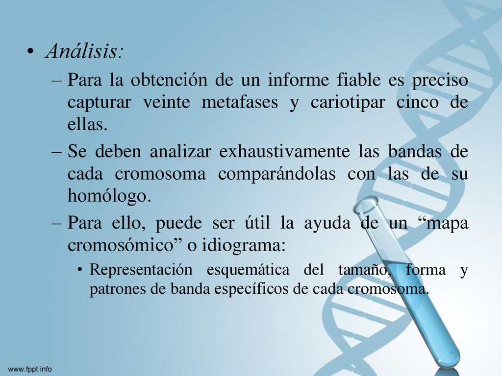 Análisis: Para la obtención de un informe fiable es preciso capturar veinte metafases y cariotipar cinco de ellas.