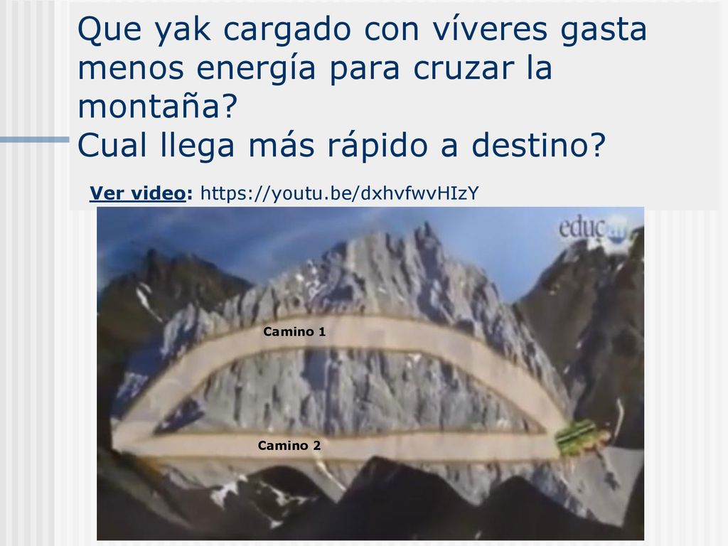 Que yak cargado con víveres gasta menos energía para cruzar la montaña