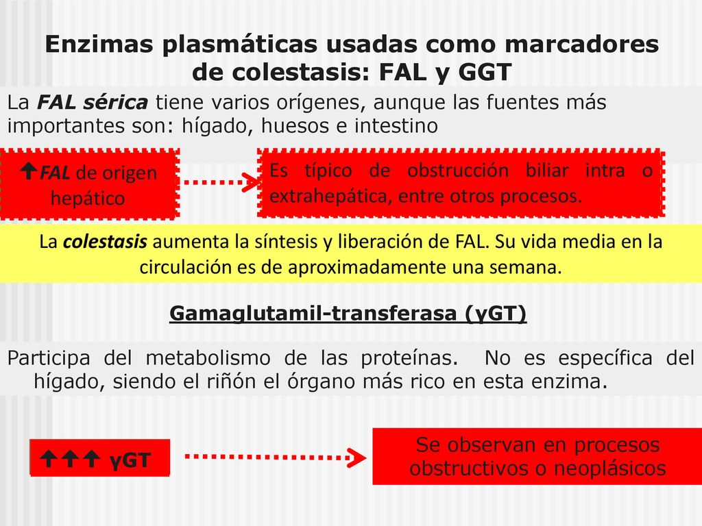 Enzimas plasmáticas usadas como marcadores de colestasis: FAL y GGT